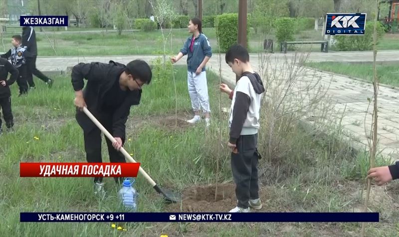 В Жезказгане ведется большая работа по озеленению