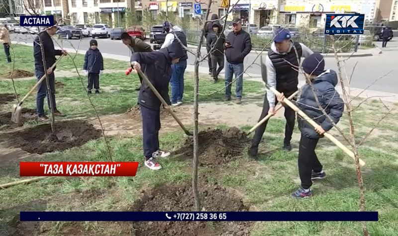 «Таза Қазақстан»: Астанада дипломаттар 350 түп көшет отырғызды 