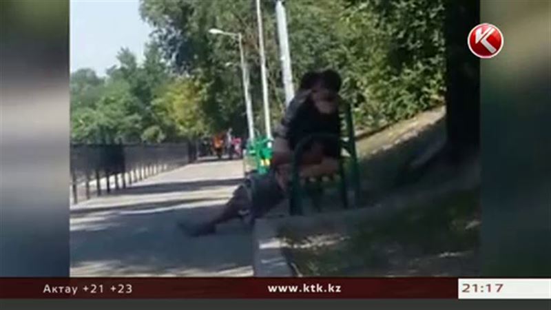 Секс на скамейке в Алматы – видео взорвало интернет
