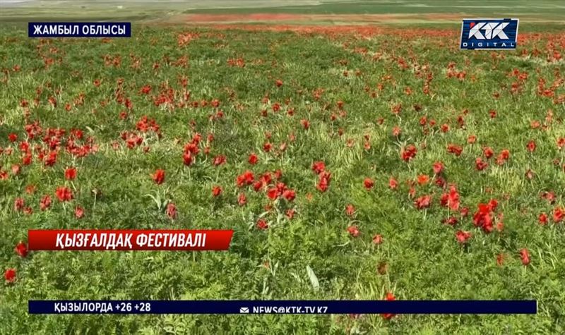 ЮНЕСКО мүшесі Жамбыл облысында геобақ салуды көздейді