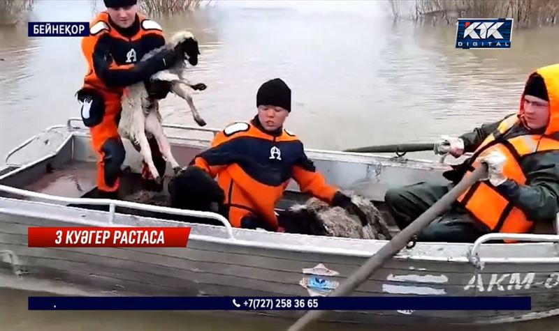 Тасқын: Малынан айырылғандар үш куәгер тартып, өтемақы ала алады 