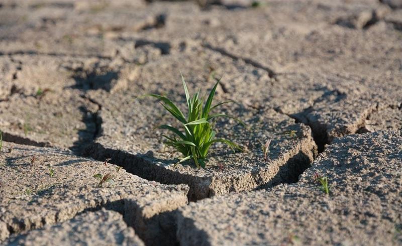 Синоптики Казгидромета озвучили прогноз засухи на июнь