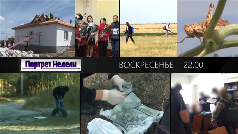 Миллиарды и дома – народу! Рождение и смерть: дело младенцев. Горе матерей, проклятье закладчиков. Нашествие: чиновники против саранчи. Всё за старое? Как прежде не будет. Взяли? Присядете!