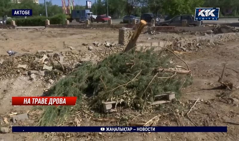 Около трех десятков деревьев и кустарников уничтожил за ночь актюбинский бизнесмен