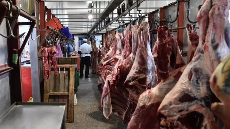 Минсельхоз РК опроверг фейк о ввозе в Казахстан зараженного бешенством мяса из Кыргызстана