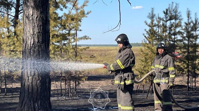 Семей орманы резерватынан өрт шықты