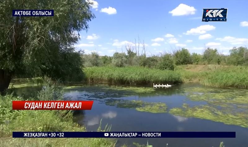 Ақтөбе облысында үш бала суға кетіп, оларды құтқармақ болған ер-азамат та ажал құшты