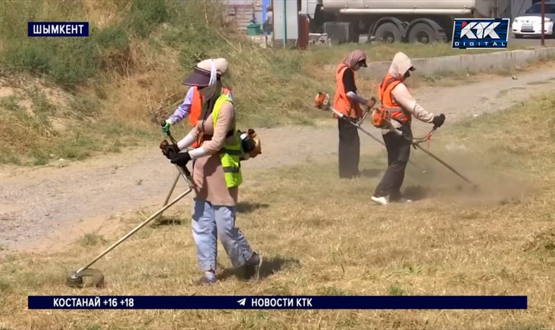 «Приятно, когда вокруг чисто»: акцию «Таза Қазақстан» поддержали шымкентские волонтеры