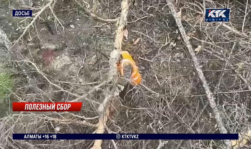 МЧС помогает ликвидировать последствия пожара в «Семей орманы»