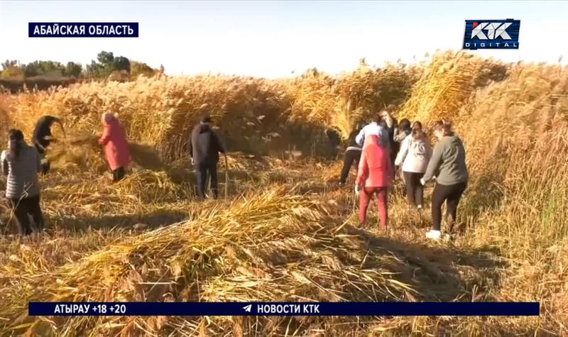 «Таза Қазақстан»: сельчане расчистили русло реки в области Абай