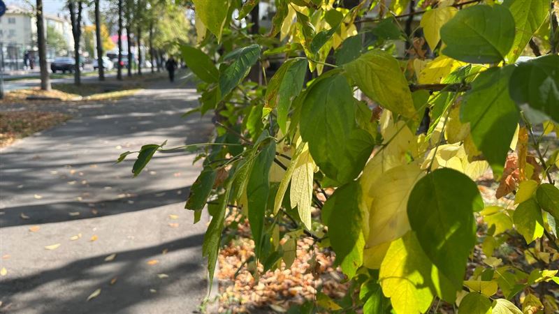 Каким будет октябрь в Казахстане: прогноз синоптиков