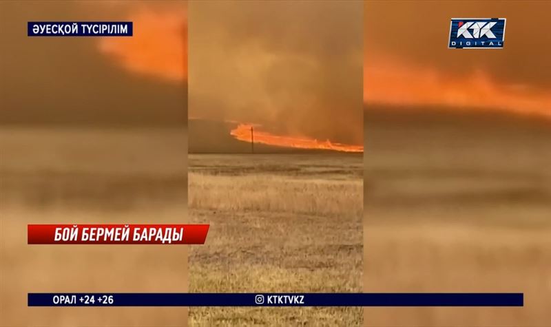 Үш күннен бері екі облыста алапат өрт болып жатыр