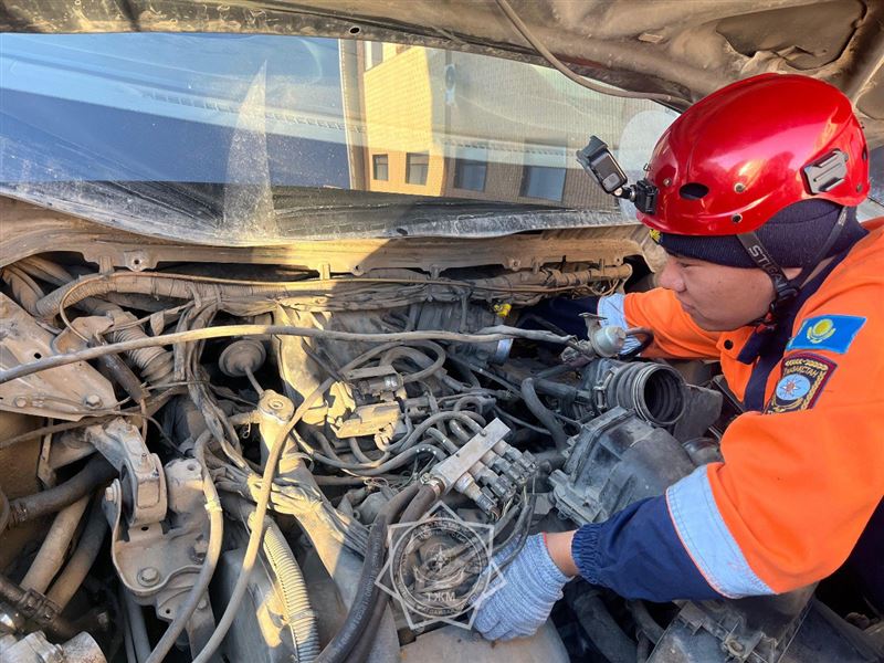 Застрявшую под капотом авто кошку спасли сотрудники ДЧС в Кокшетау