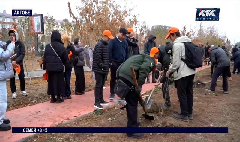 «Таза Қазақстан»: в новостройках Актобе посадили около 100 тополей