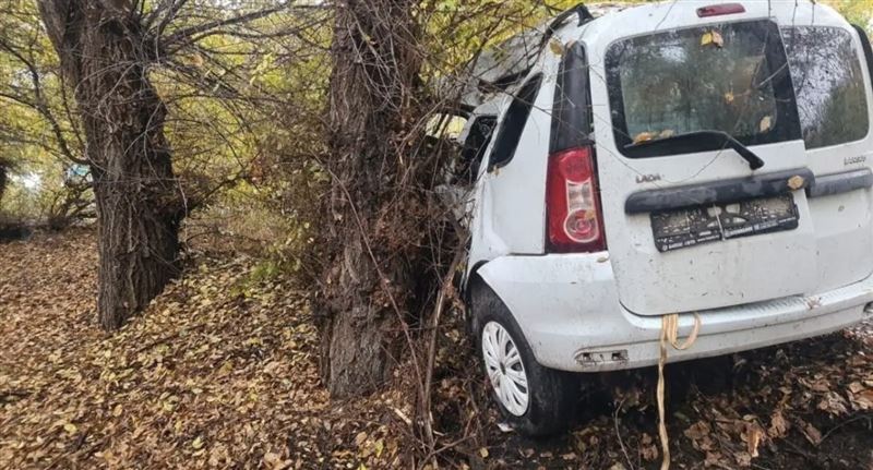 Алматы облысында көлік ағашқа соғылып, бір адам мерт болды