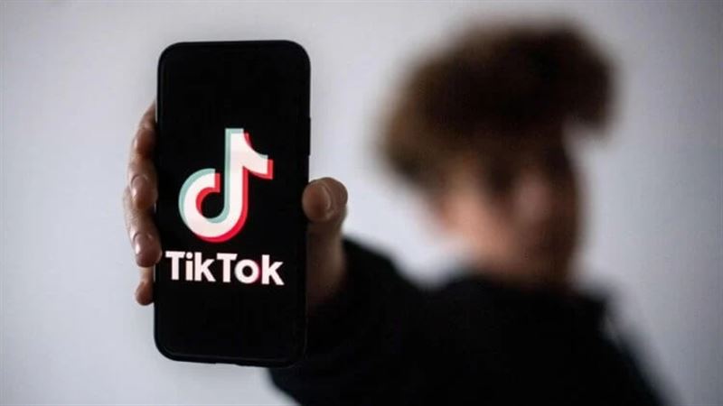 Жительница Сатпаева оштрафована за побои и оскорбления в TikTok