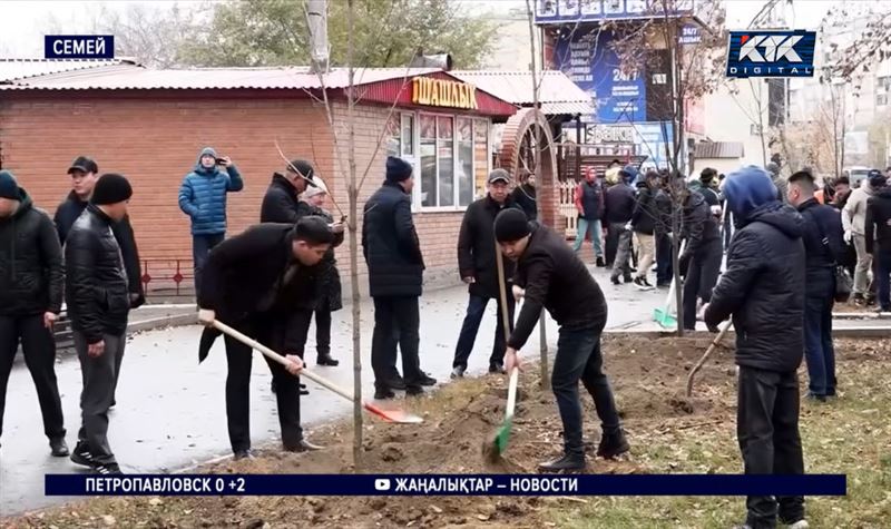 «Таза Қазақстан»: план по озеленению Абайской области  в этом году выполнен на 95% 