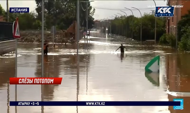 Жители Валенсии встретили короля и королеву грязью и угрозами