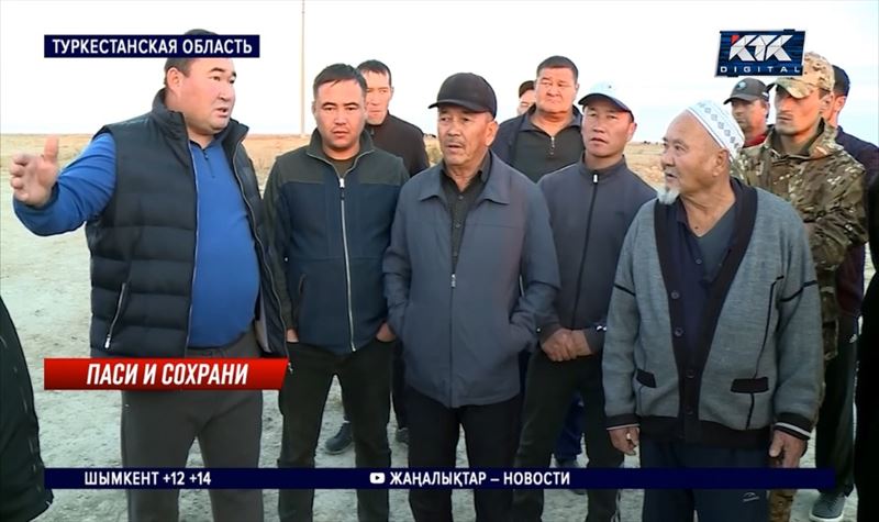 «На небе пасти?»: потомственные скотоводы жалуются в Туркестанской области