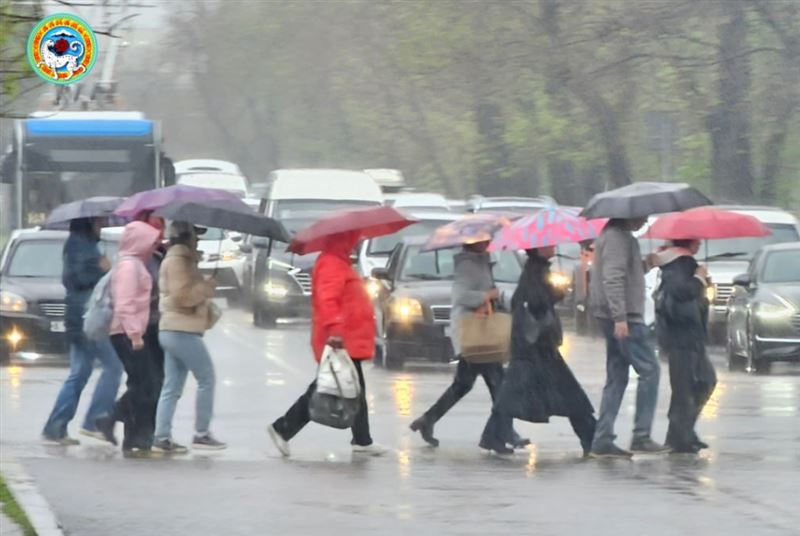 Алматинских водителей предупредили в акимате города