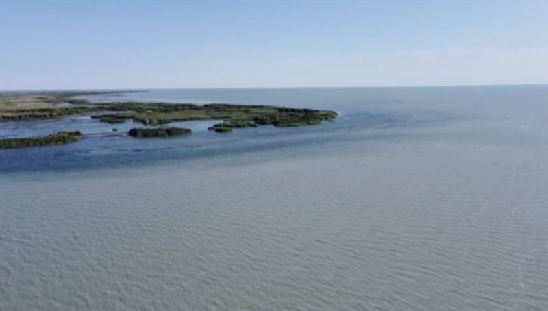 В Балхаше поднялся уровень воды