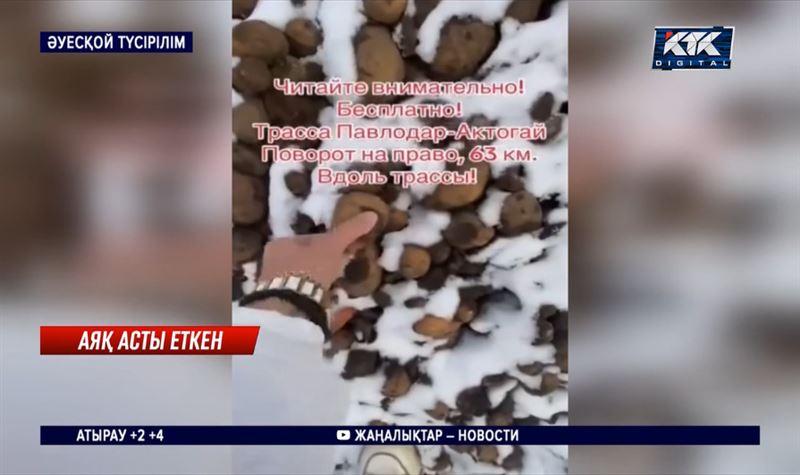 Павлодарда жерде шашылып жатқан көкөніс жұрттың ашуын туғызды 