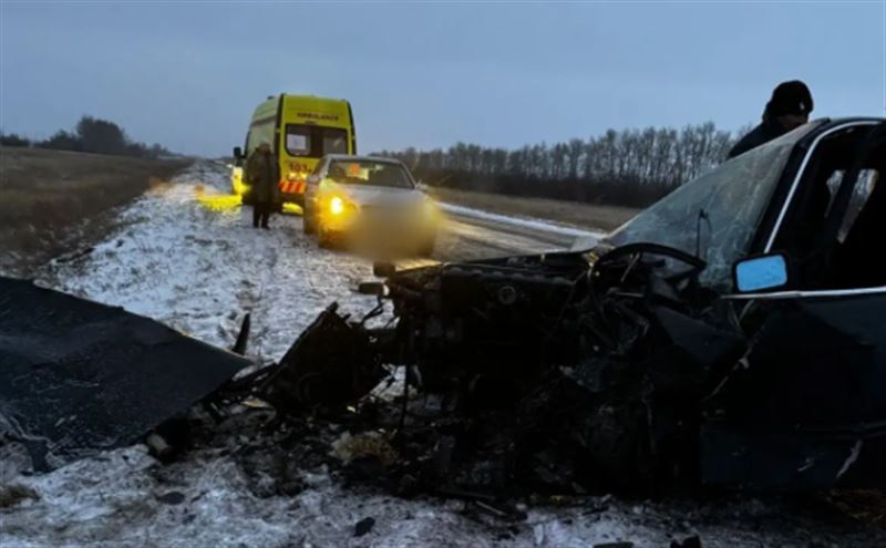 Павлодарда жол апатынан жаңа туған сәби көз жұмды