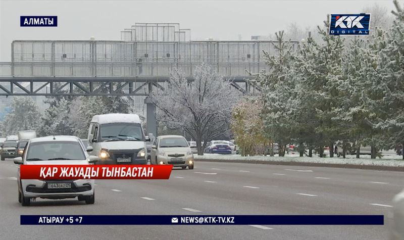 «Қар аралас жаңбыр». Алматыда өткен түні 52 жол апаты тіркелді