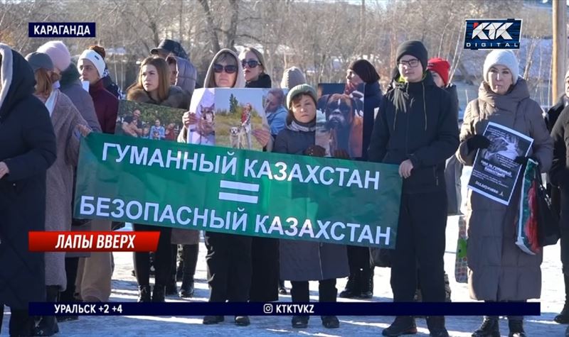 «Абсолютный показатель бесчеловечности» – карагандинские зоозащитники о предложениях депутатов