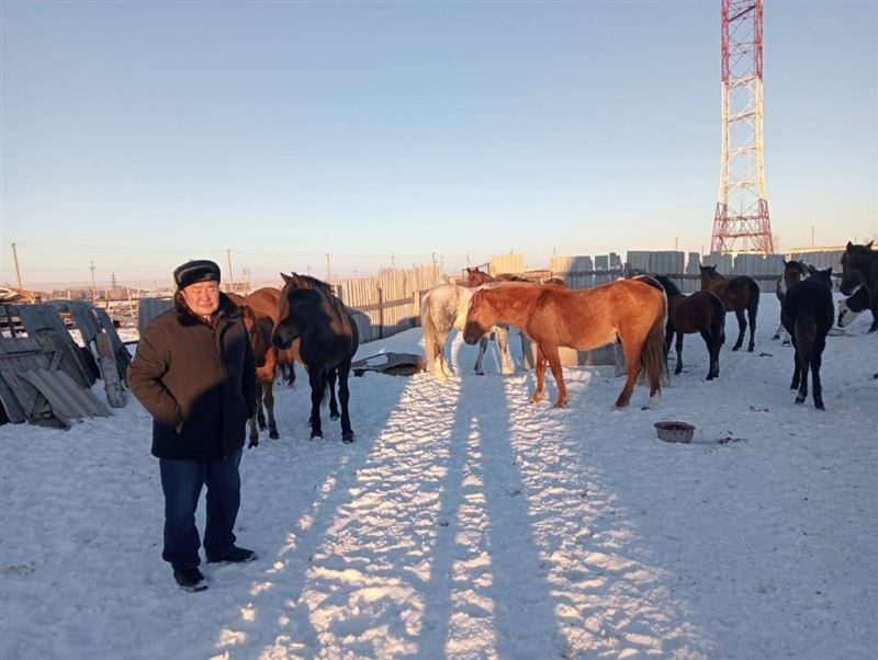 Полицейские за сутки нашли пропавших лошадей