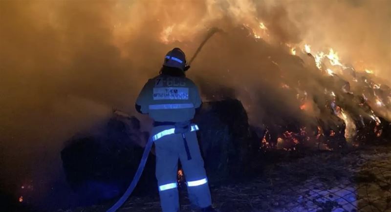 Алматы облысы тұрғынының 1300 орам шөбі өртеніп кетті