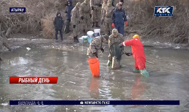 Мальков стараются спасти в Атырауской области