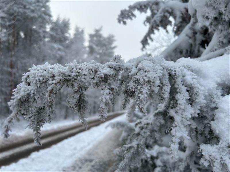 Какая погода ждет казахстанцев сегодня