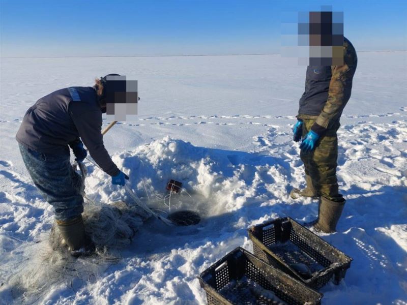 Полицейские задержали браконьеров с 332 кг рыбы на озере Балхаш