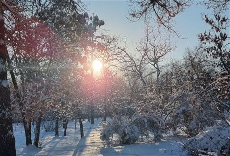 Учащихся школ города и 1-2 курсов колледжей отправили на удаленку в Астане