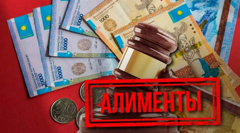 Акмолинец, будучи директором ТОО, задолжал детям 4,5 млн тенге алиментов