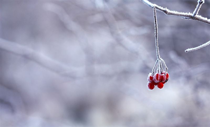 Демалыс күндері Қазақстанда бұрқасын, жаңбыр және -23°C дейін күн суытады