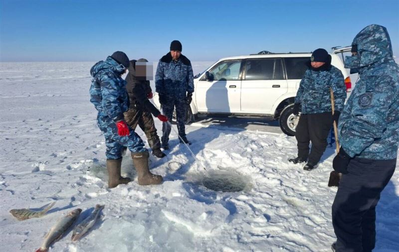 В Карагандинской области изъяли 59 кг незаконно выловленного судака