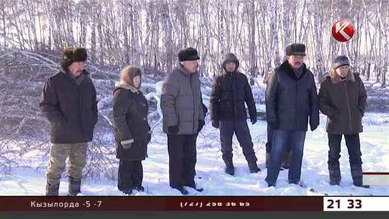 Жители Акмолинской области ополчились против дровосеков