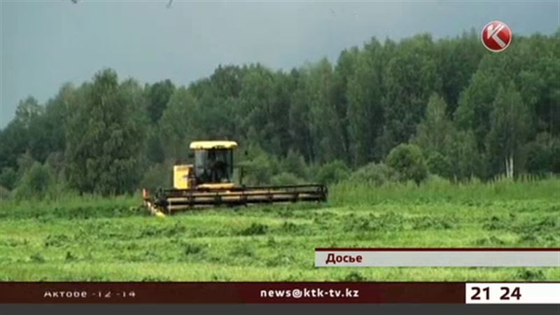 После падения рубля североказахстанские аграрии решили закупить семена в России