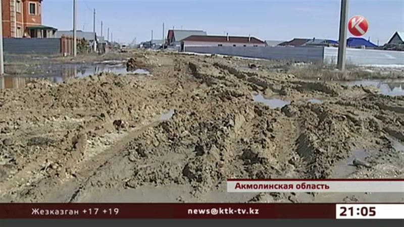 В поселке Талапкер Акмолинской области непролазная грязь и трупы собак