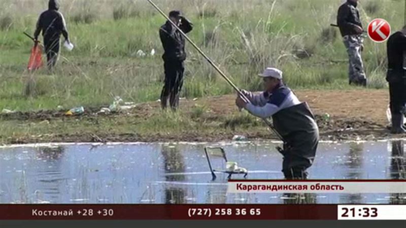 Карагандинцы ловят рыбу в луже