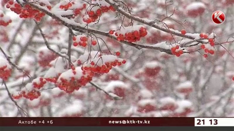 Жители юга увидят первый снег