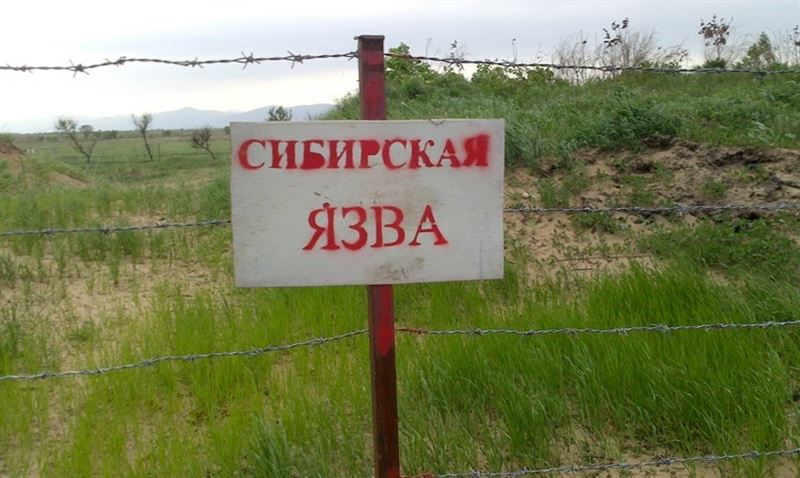 Осторожно: сибирская язва