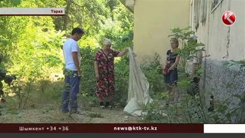  В Таразе восьмилетняя девочка упала с четвертого этажа