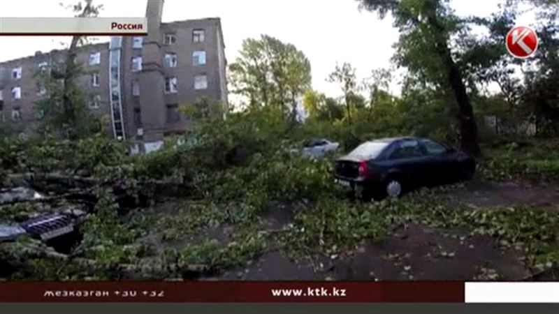 Погода мечет молнии: в Москве во время урагана погибли люди