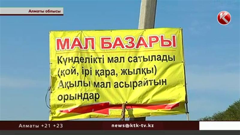 Мал саудасымен айналысқан үш ағайындының өліміне базарда қарақшылардың қаптауы себеп 