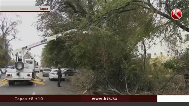 В Таразе после снегопада до сих пор нет света