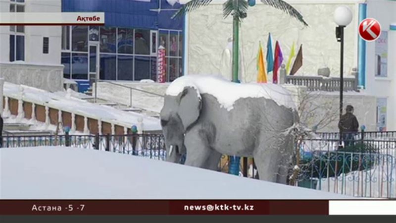 Ақтөбелік кәсіпкер қаланың қақ ортасындағы шағын хайуанаттар бағын сүріп тастады