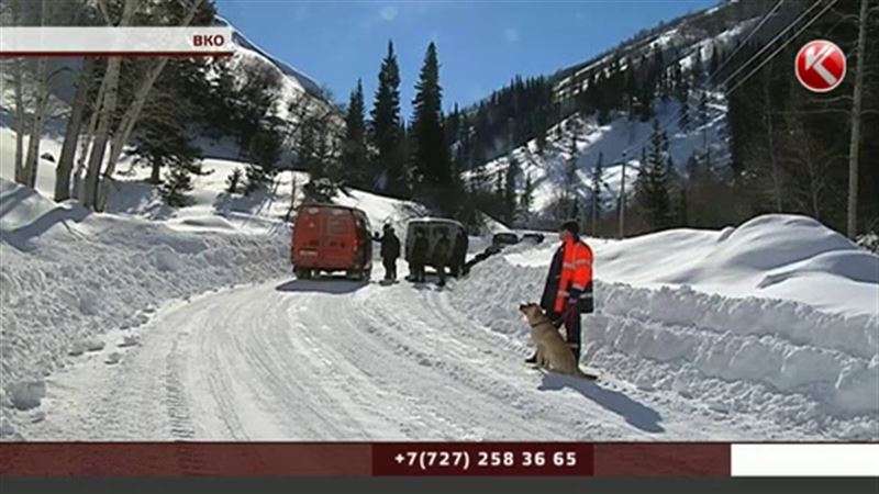 В горах Восточного Казахстана с помощью спасателей сошли сразу три лавины